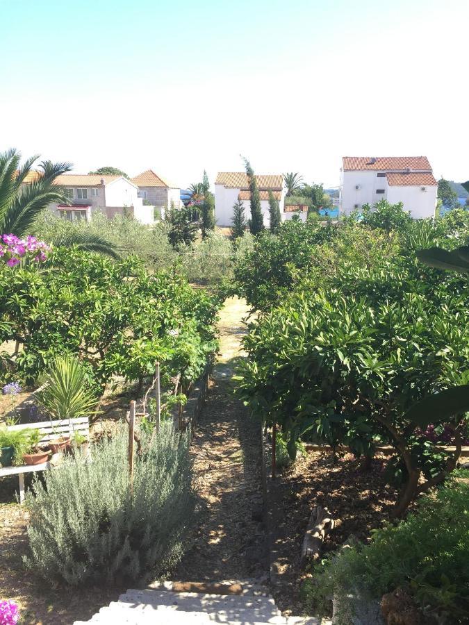 אורביץ Apartments Tamara מראה חיצוני תמונה