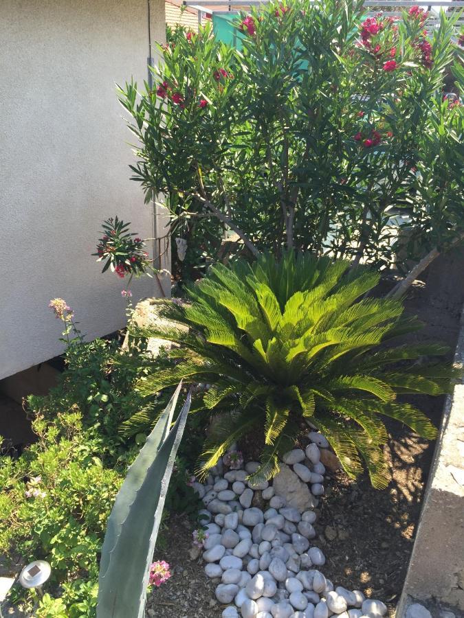 אורביץ Apartments Tamara מראה חיצוני תמונה